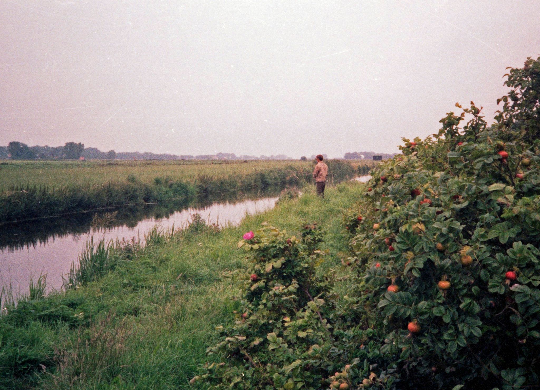 Forår ved Lindenborg å